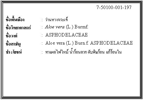 กล่องข้อความ: 7-50100-001-197 ชื่อพื้นเมือง : ว่านหางจระเข้ ชื่อวิทยาศาสตร์ : Aloe vera (L.) Burmf. ชื่อวงศ์ : ASPHODELACEAE ชื่อสามัญ : Aloe vera (L.) Burn.f. ASPHODELACEAE ประโยชน์ : ทาแผลไฟไหม้ น้ำร้อนลวก ดับพิษร้อน แก้ร้อนใน